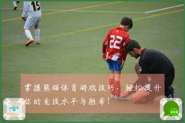 掌握熊猫体育游戏技巧，轻松提升你的竞技水平与胜率！