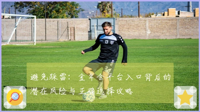 避免踩雷：金年会平台入口背后的潜在风险与正确选择攻略