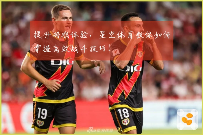 提升游戏体验，星空体育教你如何掌握高效战斗技巧！